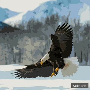 Meet your Posher, Guy